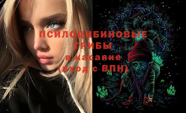 ALPHA-PVP Горнозаводск
